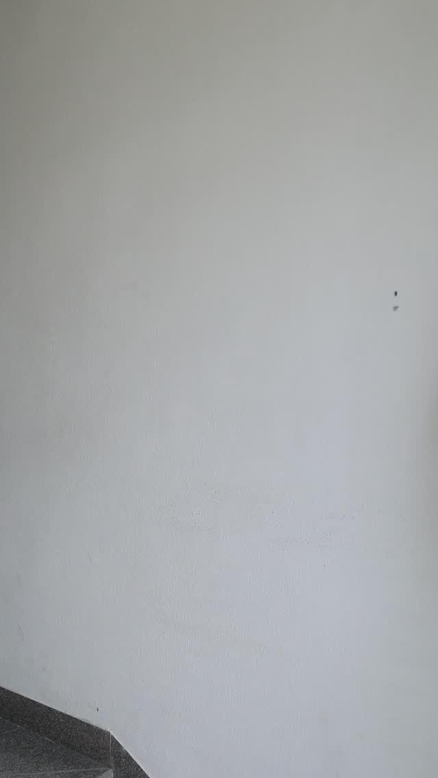 Instagram post from sevenpillars.fit. This post is in position 5.