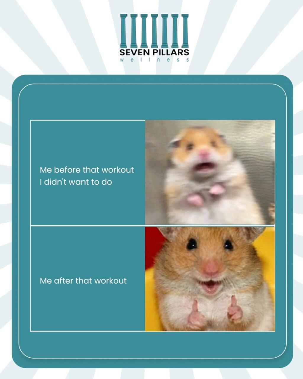 Instagram post from sevenpillars.fit. This post is in position 15.